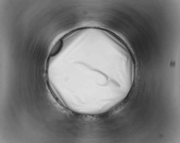 X0000114210815200911201021