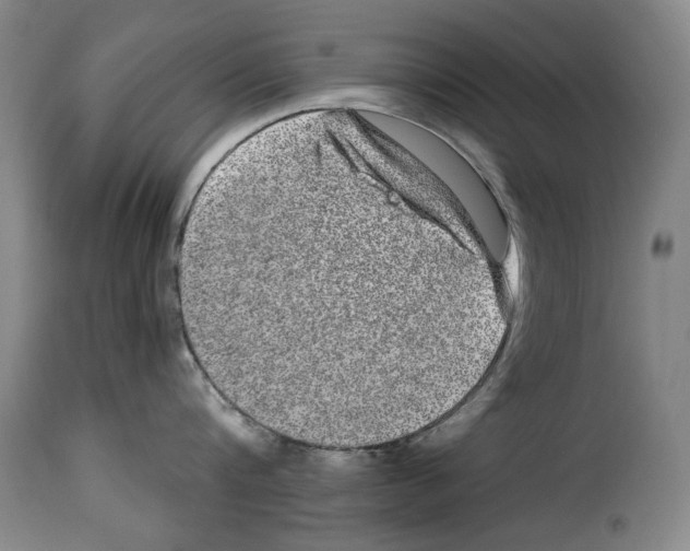X0000114210816200911201021
