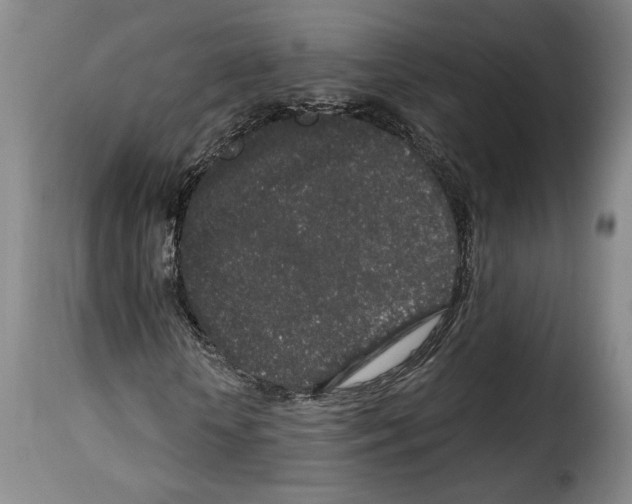 X0000114210818200911201020