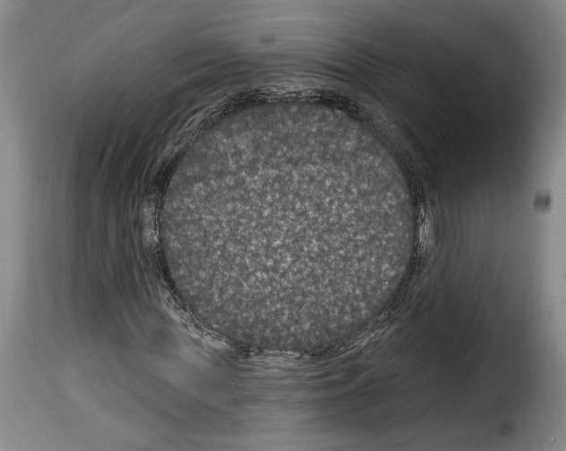 X0000114210819200911201020