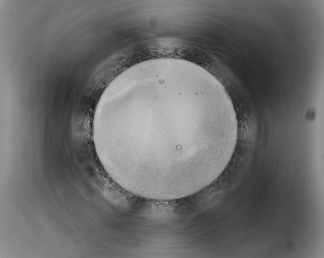 X0000114210820200911201020