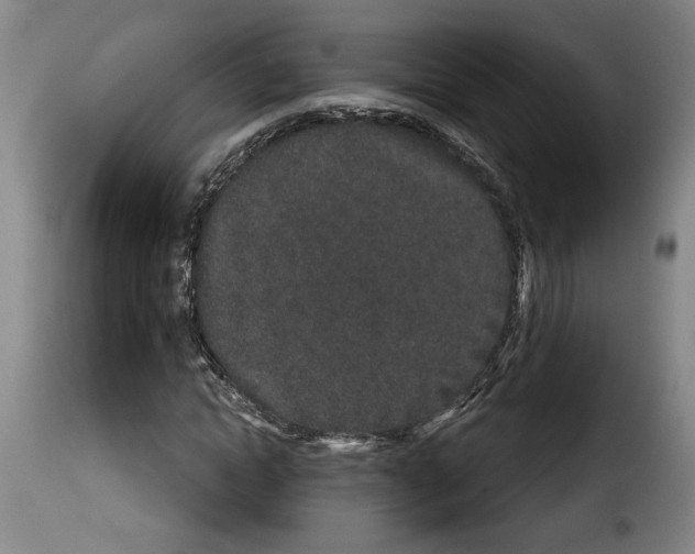 X0000114210822200911201020