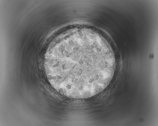 X0000114210823200911201020