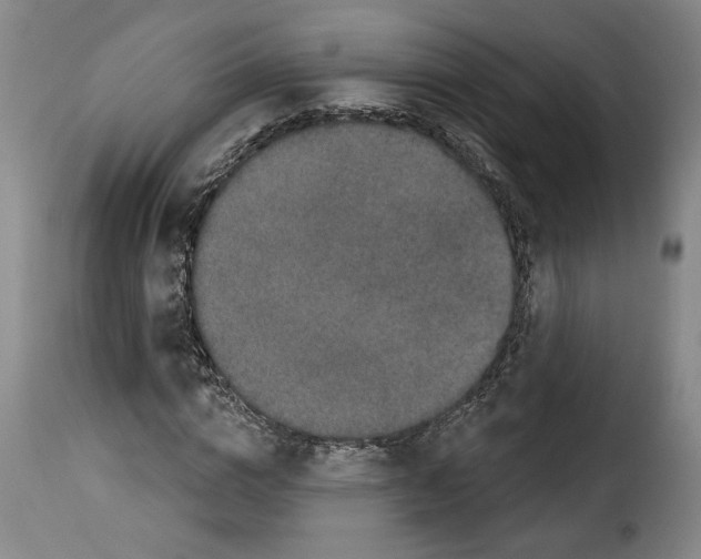 X0000114210824200911201020
