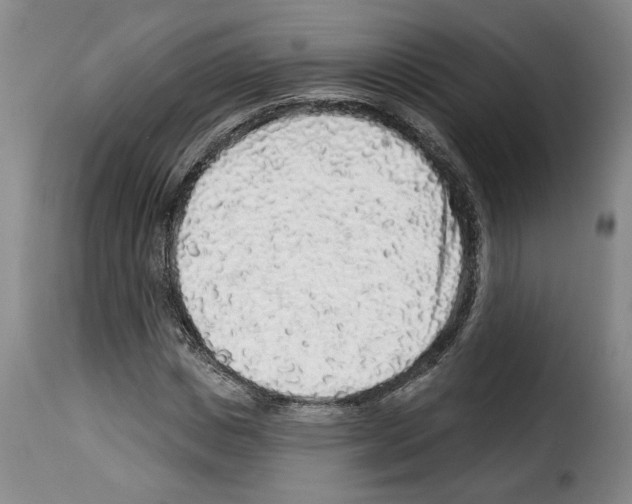 X0000114210825200911201020