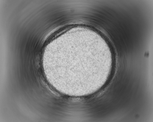 X0000114210826200911201020