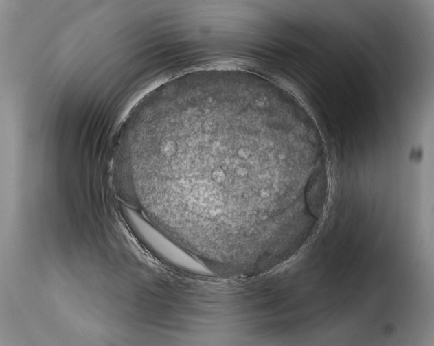 X0000114210827200911201020