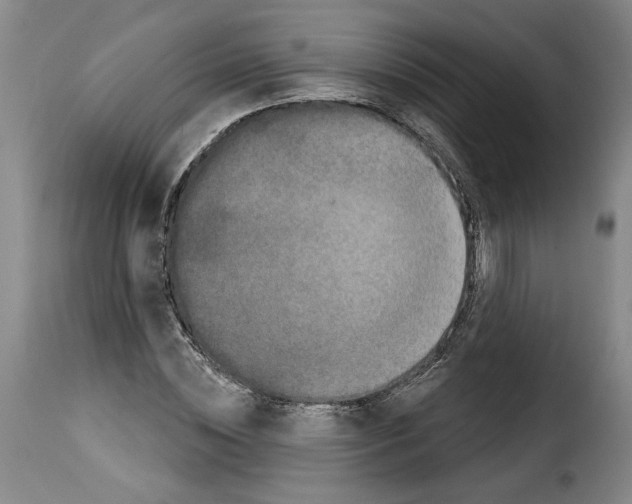 X0000114210828200911201020