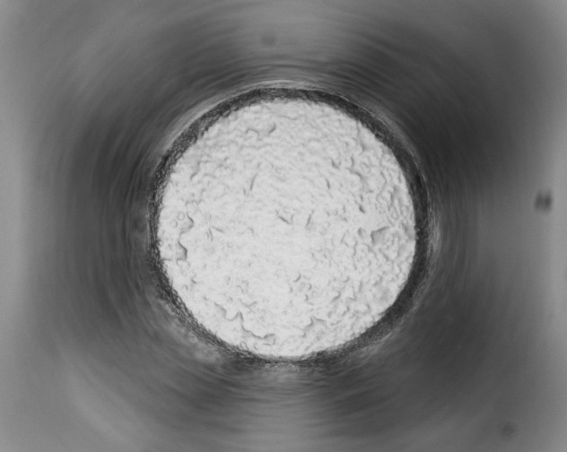 X0000114210829200911201020