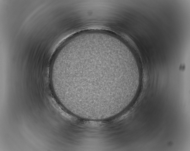 X0000114210831200911201021