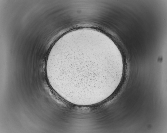 X0000114210833200911201021
