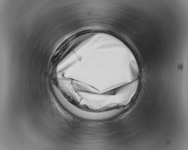 X0000114210837200911201021
