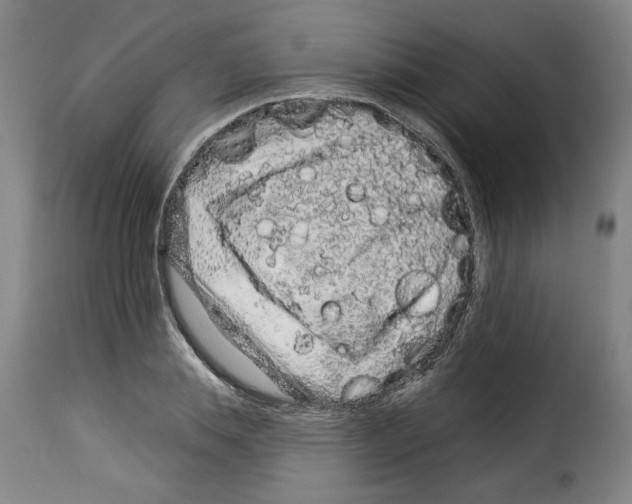 X0000114210839200911201021