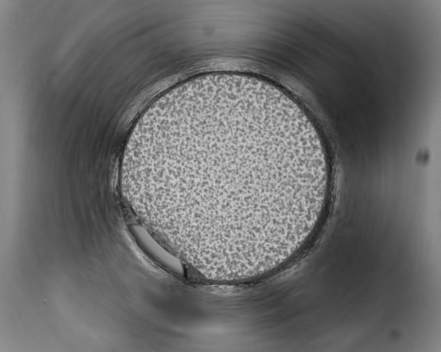 X0000114210841200911201021