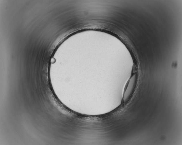 X0000114210842200911201021