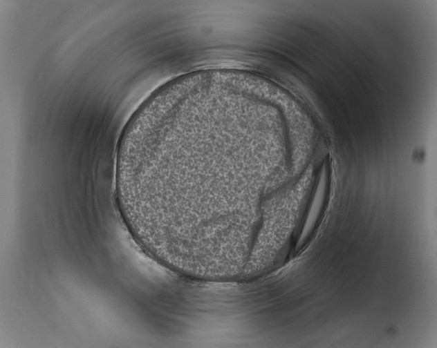 X0000114210844200911201021