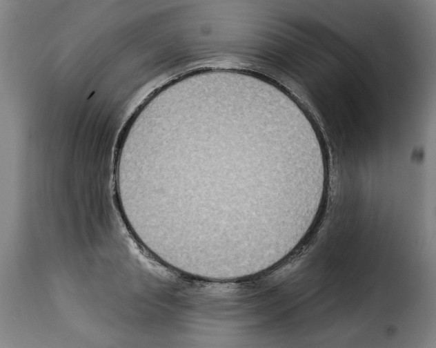X0000114210845200911201021