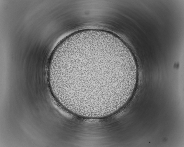 X0000114210846200911201021
