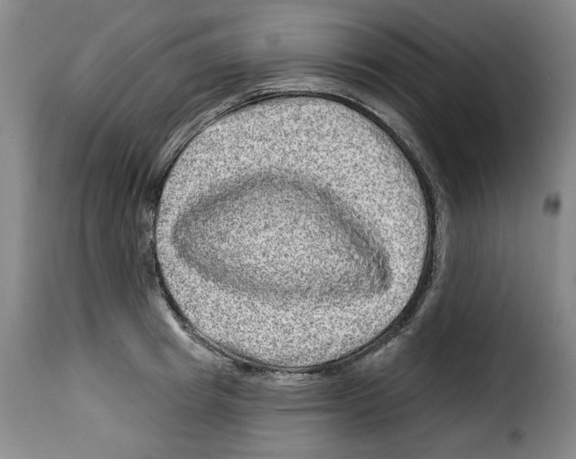 X0000114210849200911201021