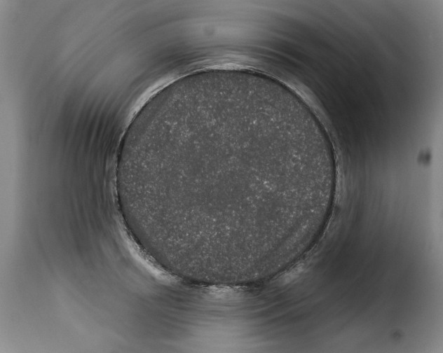 X0000114210850200911201021
