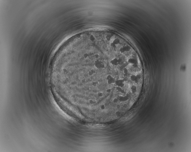 X0000114210851200911201021