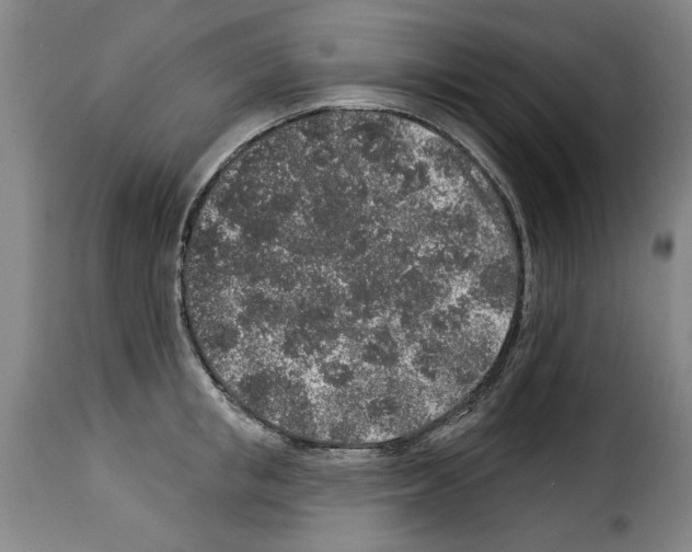 X0000114210853200911201021