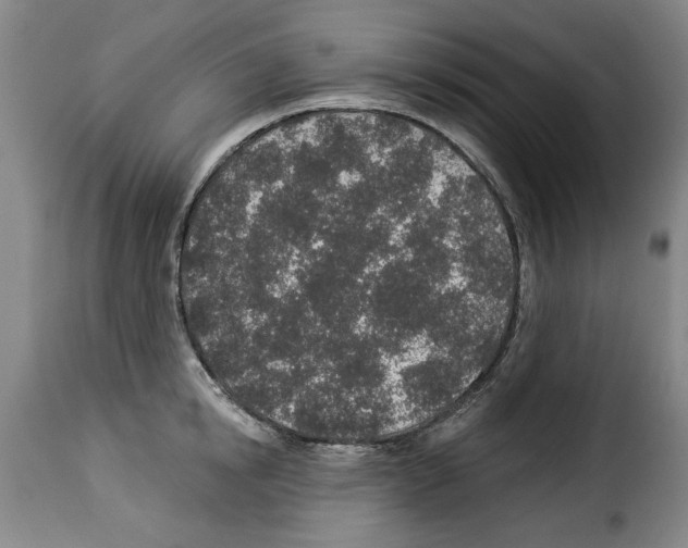 X0000114210854200911201021