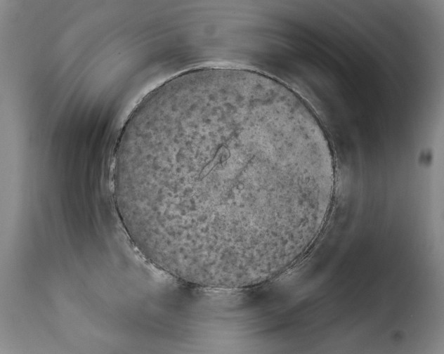 X0000114210856200911201021