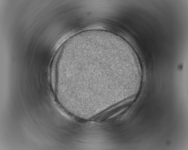 X0000114210858200911201021
