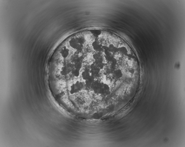 X0000114210859200911201021