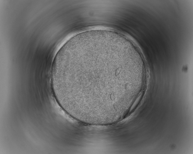 X0000114210860200911201021