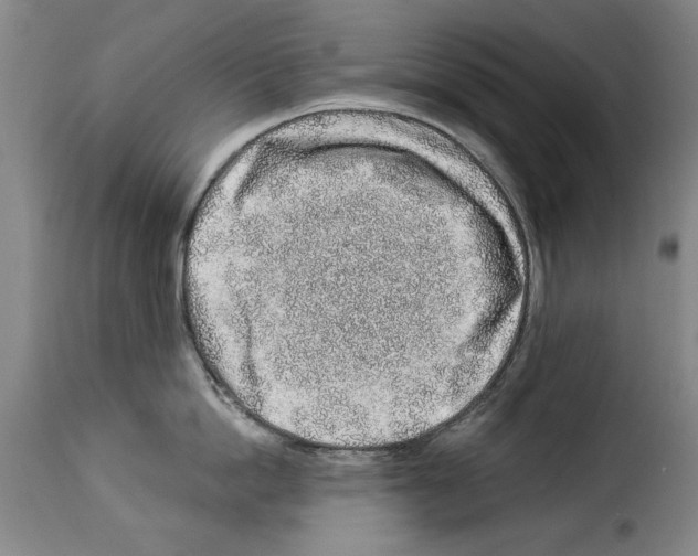X0000114210862200911201021