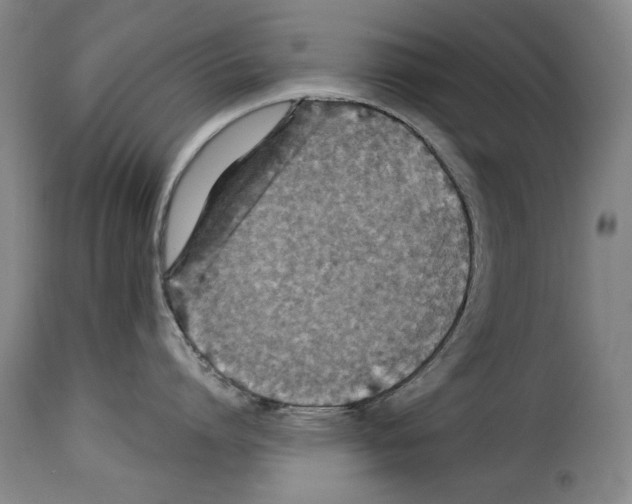 X0000114210864200911201021