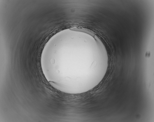 X0000114210865200911201020