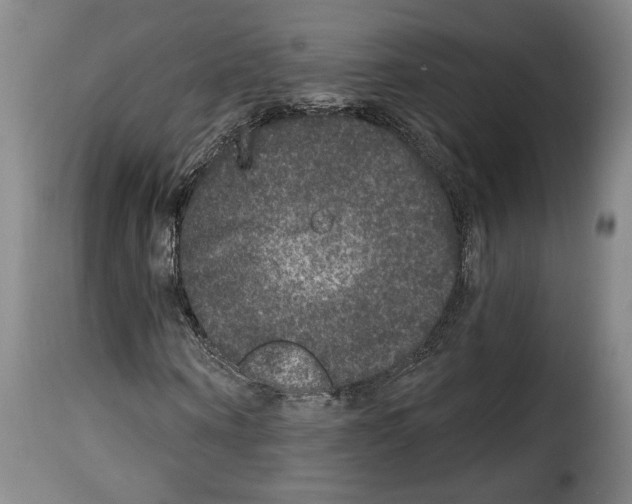 X0000114210866200911201020