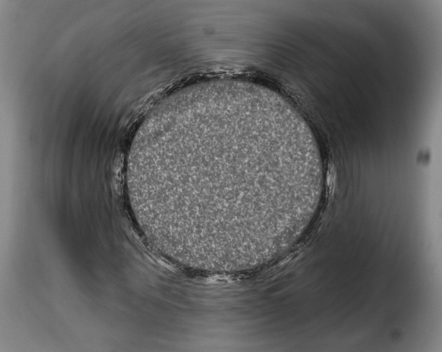 X0000114210867200911201020