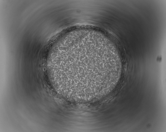 X0000114210870200911201020