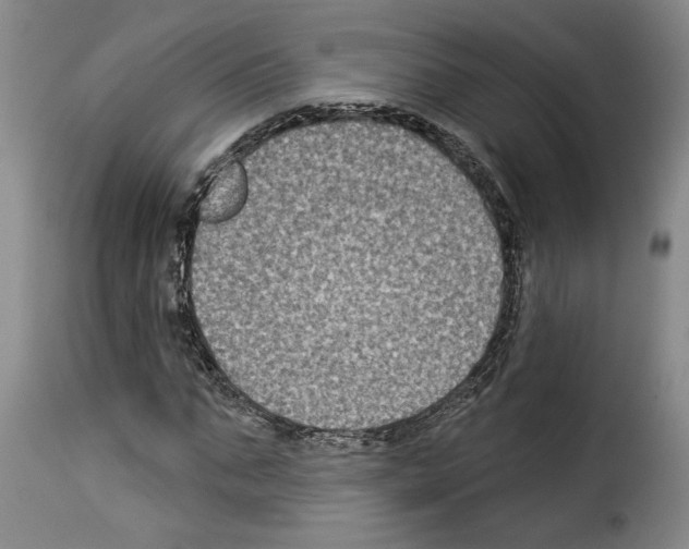 X0000114210871200911201020
