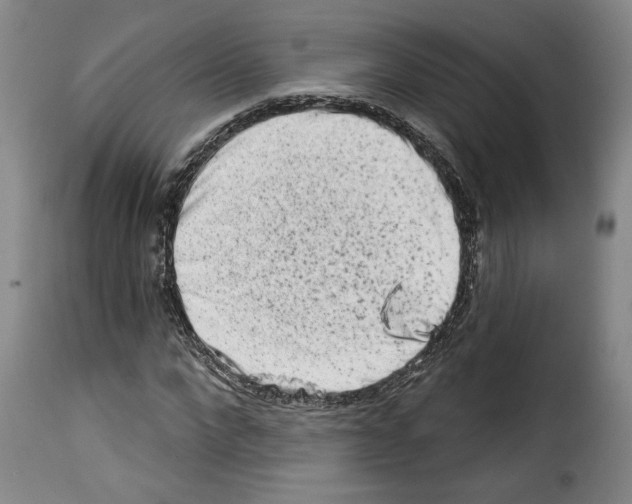 X0000114210872200911201020