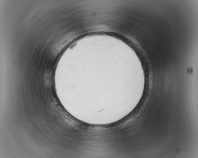 X0000114210873200911201020