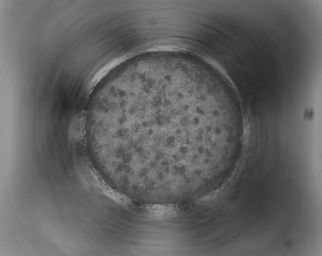 X0000114210874200911201020