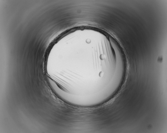 X0000114210877200911201020