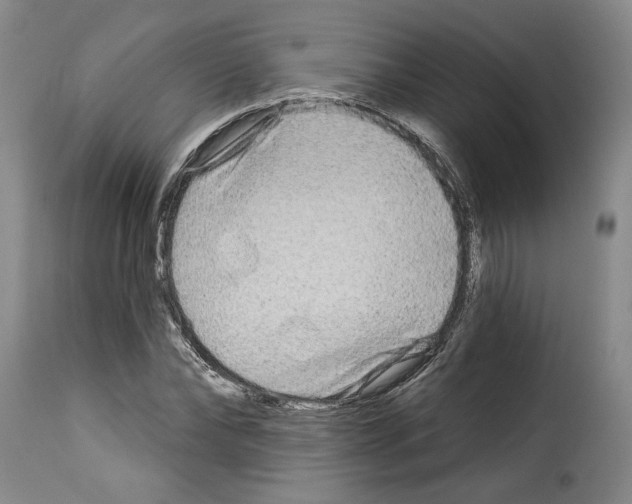 X0000114210878200911201020