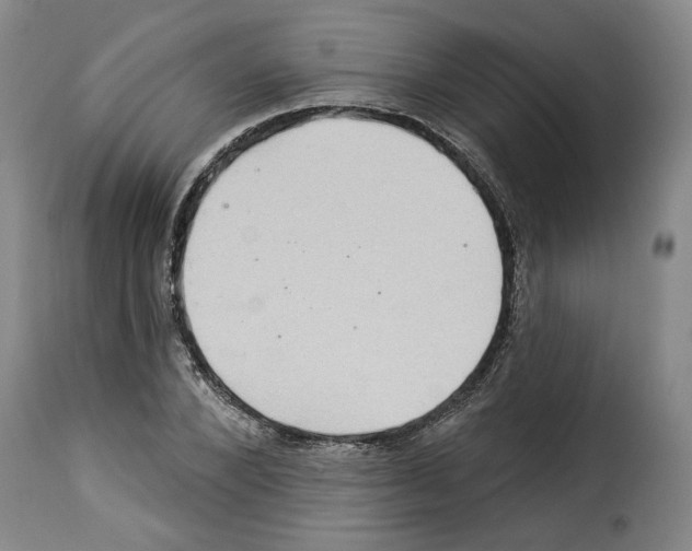 X0000114210880200911201020
