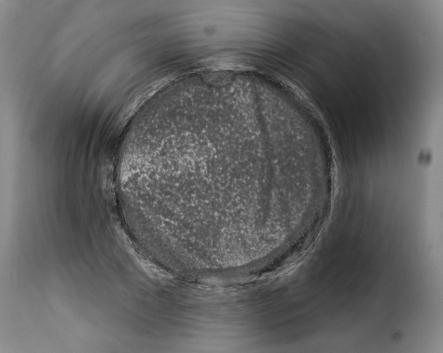 X0000114210881200911201020