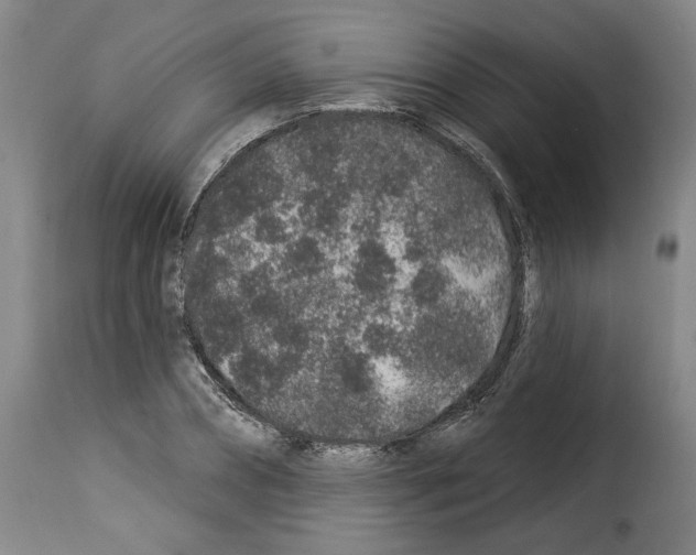 X0000114210882200911201020