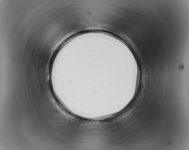 X0000114210885200911201020