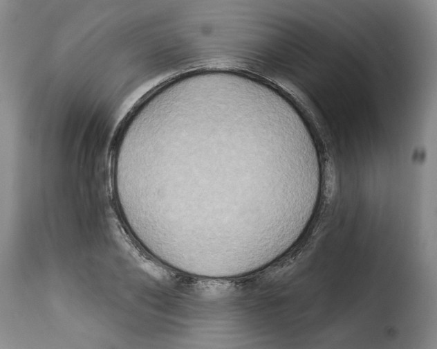 X0000114210886200911201020