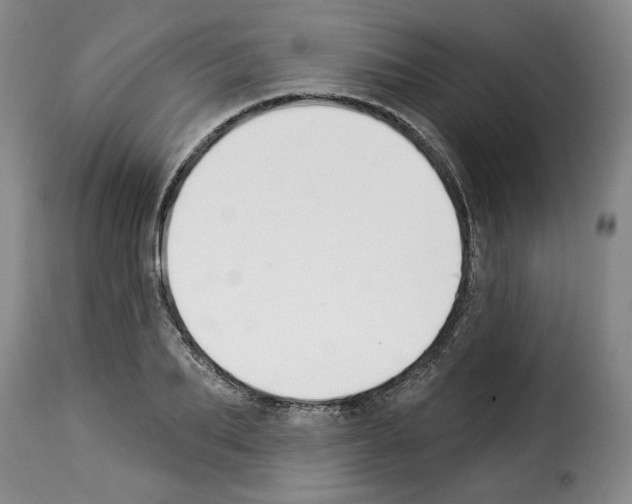 X0000114210887200911201020