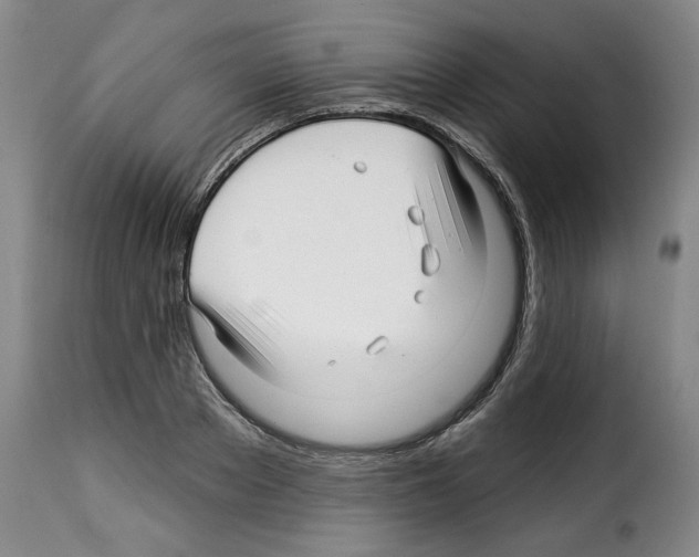 X0000114210889200911201020